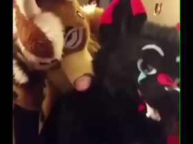 Fursuiters fuck in bathroom while bottom moans loudly